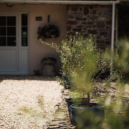 티버튼 Stoodleigh Court Coach House B&B 외부 사진