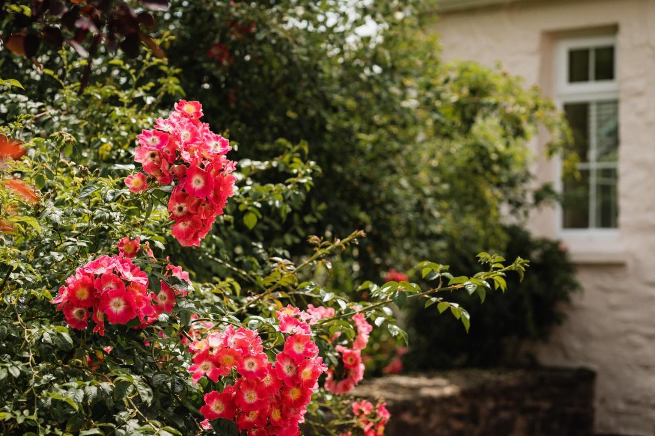 티버튼 Stoodleigh Court Coach House B&B 외부 사진