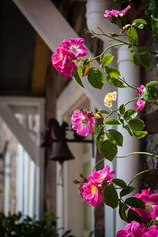 티버튼 Stoodleigh Court Coach House B&B 외부 사진